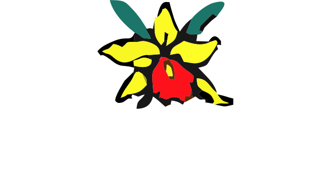 Logo_223108070801_bali-garment-welcome-to-ayuorchid.png
